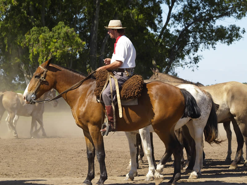 Gauchos on horseback at a ranch in San Antonio de Areco